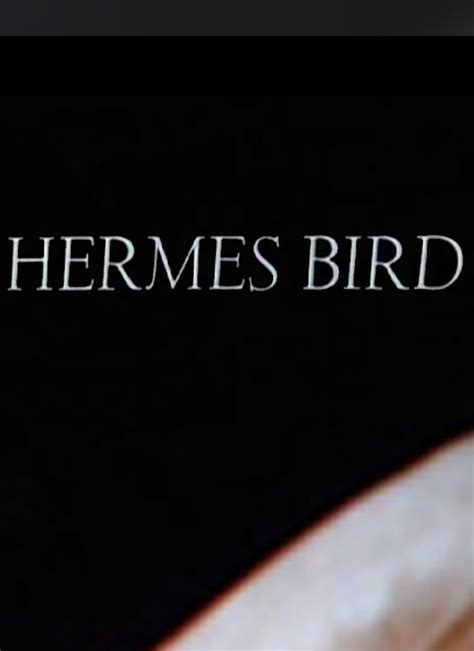 hermes bird movie